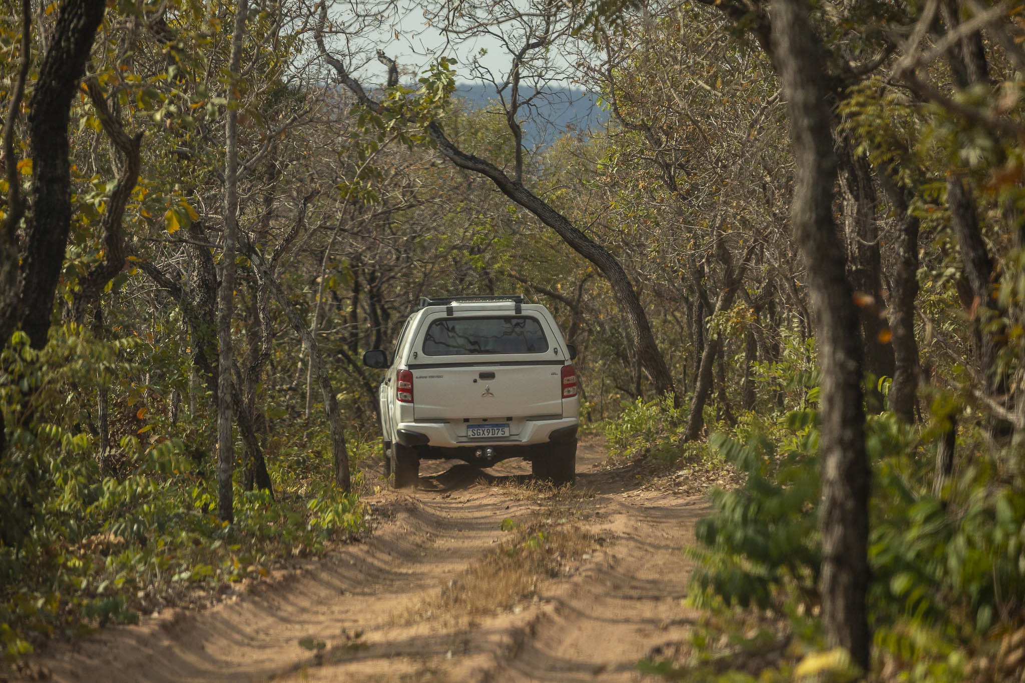 Imagem Expedição Chap Guim - ESEC Serra das Araras--15 da expedição de expedicoes/araras_25